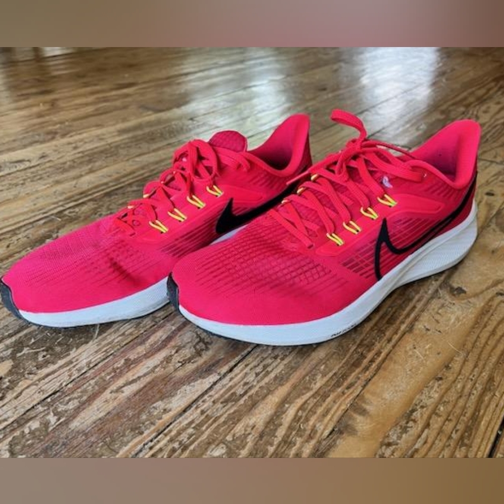 LAST CHANCE SALE Nike Pegasus 39 Running Shoes in size men's size 10